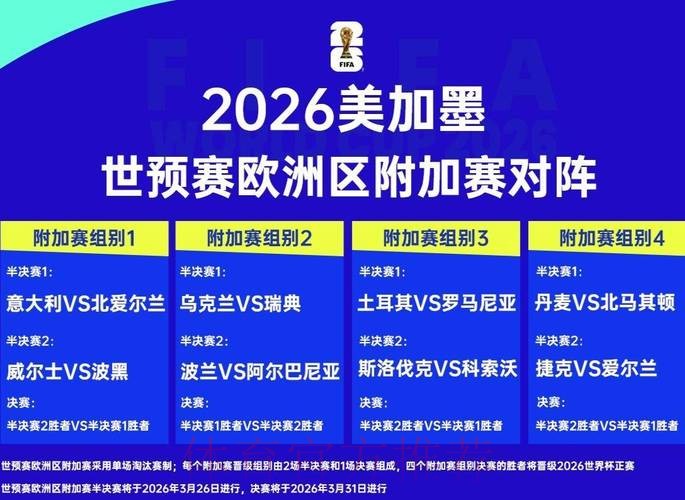 2026年国际足联世界杯赛事盛况解析